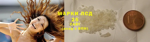 гидропоника Новозыбков