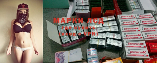 гидропоника Новозыбков