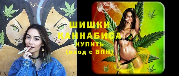 гидропоника Новозыбков
