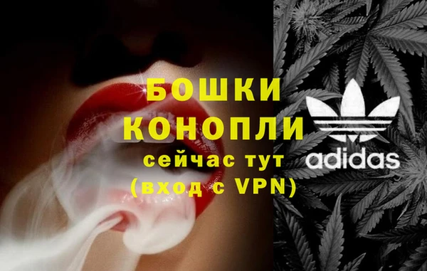 гидропоника Новозыбков