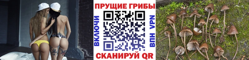 blacksprut ONION  Семикаракорск  Галлюциногенные грибы ЛСД 